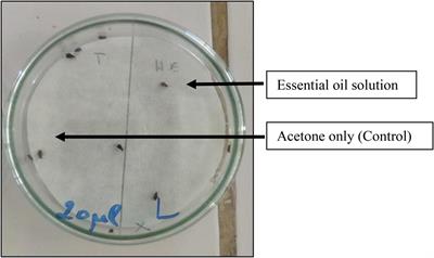 Chemical Composition and Antifungal, Insecticidal and <mark class="highlighted">Repellent</mark> Activity of Essential Oils From Origanum compactum Benth. Used in the Mediterranean Diet